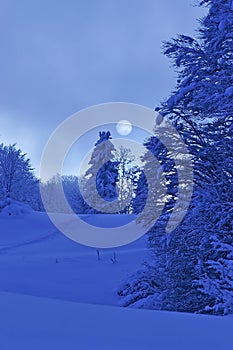 Landscape of mountain