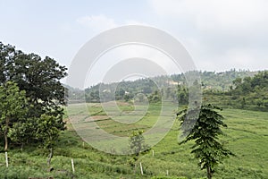 Landscape of mountain captured in the morning with green trees in the foreground photo