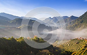 Landscape of mountain with fog in morning at Chiangmai