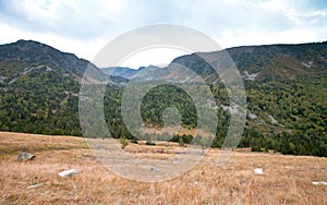 Landscape. Mountain, forest, clouds, dry grass