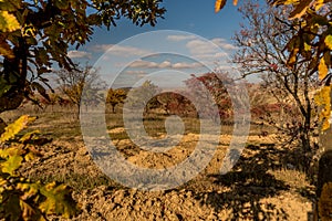 Landscape with mountain and meadow with natural Tree Leaves Border or frame. Place for copyspace.