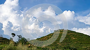 Landscape mountain overgrown dense green jungle tree with blue sky and white cloud. Nature green environment