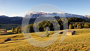 Landscape in mountain pasture and peak, Alpe di Siusi, Dolomites