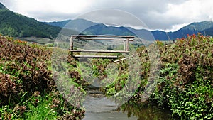 Landscape of mountain Phobjikha valley