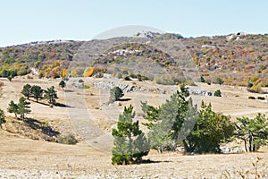 Landscape of mountain plateau Ai-Petri in Crimea