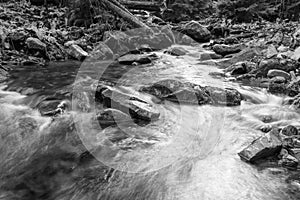 Landscape mountain river in autumn forest. View of the stony rapids. Black and white photo.