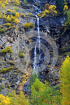 Landscape with a mountain river with a fast stream and the fores