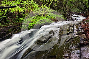 Landscape with a mountain river with a fast stream and the fores