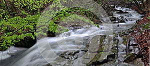 Landscape with a mountain river with a fast stream and the fores