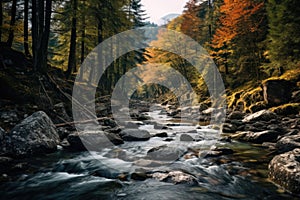 Landscape of a mountain river flowing through a forest in autumn colors