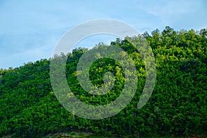 Landscape on mountain with sky