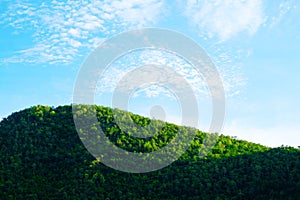 Landscape on mountain with sky