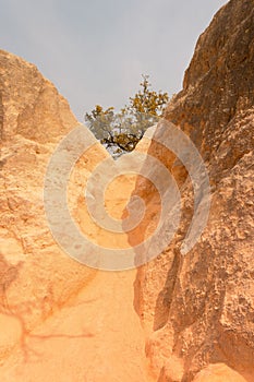 Landscape in mountain trail