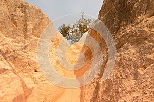 landscape in mountain trail