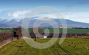 Landscape with mountain Tribec, Slovakia