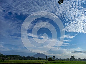 landscape of mountain views, cloudy skies, and green expanses of rice fields