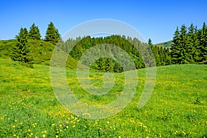 Landscape of mountains of Alps in summer with green meadow and flowers in Portes du Soleil, France