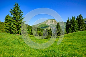 Landscape of mountains of Alps in summer with green meadow and flowers in Portes du Soleil, France