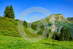 Landscape of mountains of Alps in summer with green meadow and flowers in Portes du Soleil, France