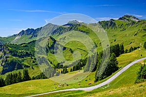 Landscape of mountains of Alps in summer with green meadow in Portes du Soleil, Switzerland