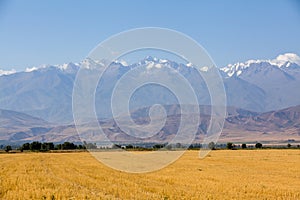 Landscape of mountains at autumn