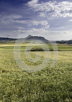 Landscape with mountains and clouds wheat