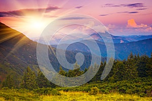 Evening sun in the mountains