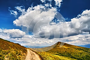 Landscape mountains field of green fresh grass under blue sky