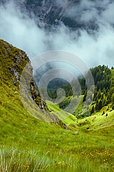 landscape with mountains, hills, grass, rocks, trees and fog