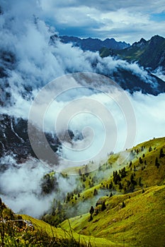 landscape with mountains, hills, trees and fog