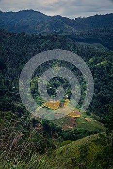 Landscape in the mountains. Little Adamâ€™s peak, Ella, Sri Lanka