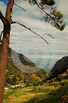 Landscape in the mountains of Madeira 2