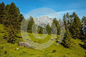 landscape with mountains, meadow and trees