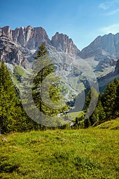 landscape with mountains, meadow and trees photo