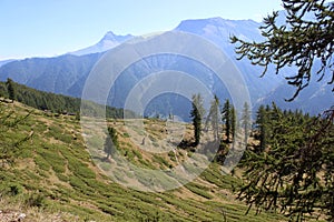 Pontechianale mountain in summer