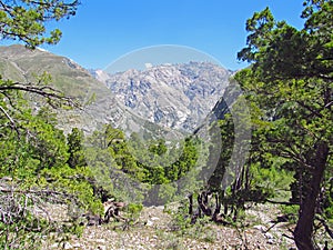 Landscape of mountains and praire in Los Andes photo