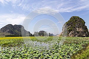 Landscape with mountains, rice fields and river