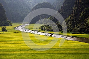 Landscape with mountains, rice fields and river