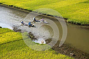 Landscape with mountains, rice fields and river