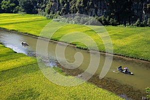 Landscape with mountains, rice fields and river