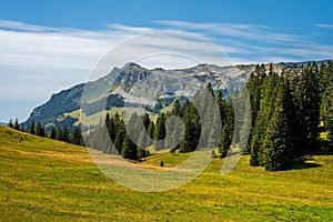 Landscape of the mountains, sky and forest in summer in Switzerland