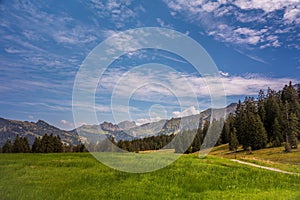 Landscape of the mountains, sky and forest in summer in Switzerland