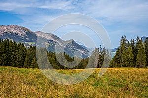 Landscape of the mountains, sky and forest in summer in Switzerland