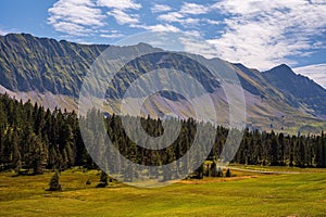 Landscape of mountains, sky and forest in Summer in Switzerland