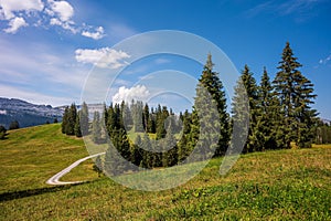 Landscape of mountains, sky and forest in Summer in Switzerland