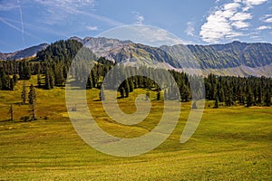 Landscape of the mountains, sky and forest in summer in Switzerland