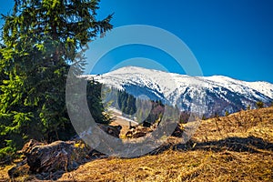 Landscape with mountains with snow at springtime