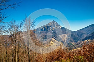 Landscape with mountains at springtime