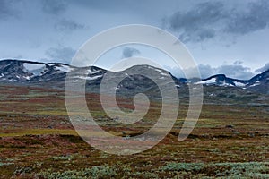 Landscape of the mountains and tundra of the Jotunheimen Plateau,  central Norway