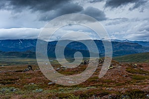 Landscape of the mountains and tundra of the Jotunheimen Plateau,  central Norway